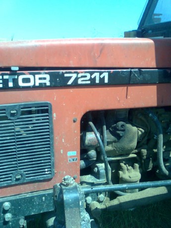 obraz0019