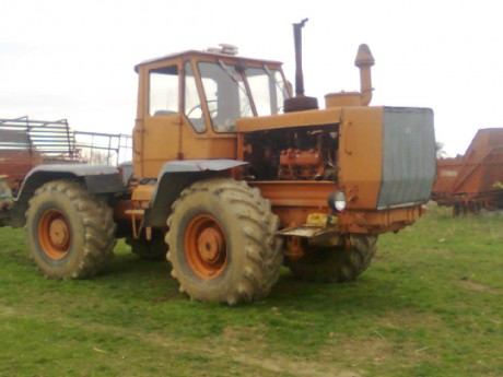 obraz0295