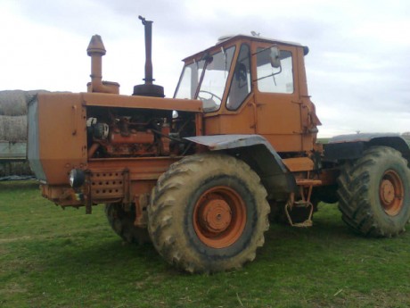 obraz0296