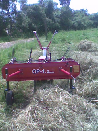 obraz0055