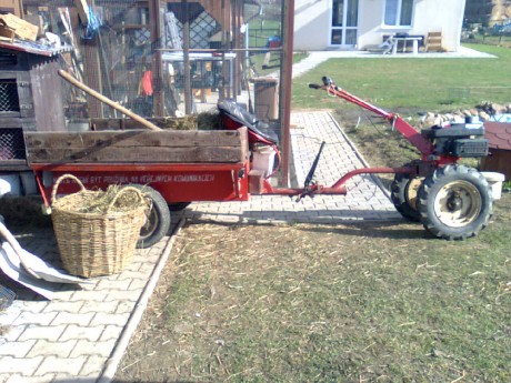 obraz0277