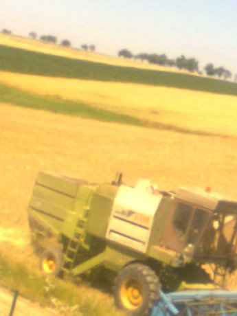 obraz0010
