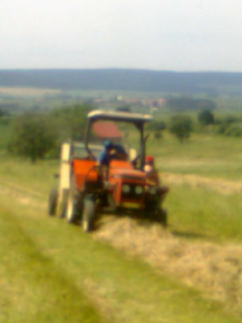 obraz0311